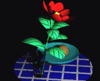 Flower